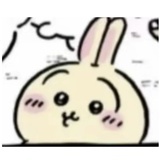 加斯特喵