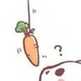 爱吃胡萝卜的--