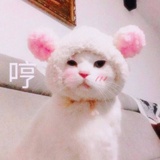 吧啦啦能量