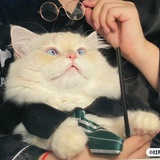 薏仁做事薏仁汤