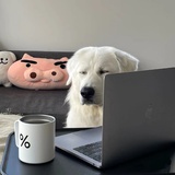 月光今晚加班