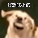 ＝＝