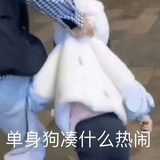 豆豆打豆豆