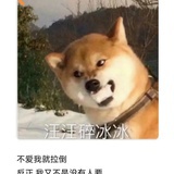 雨林