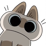 温缕