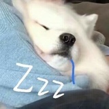 只是路过