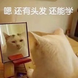 空条jo太郎