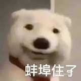 上岸