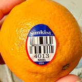 Sunkist Navel