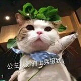 嘎嘎可达鸭