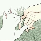 戈渊