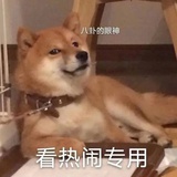 平平无奇吃瓜人