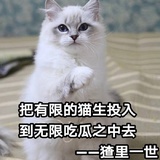 是真的江湖骗子