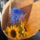 男友粉读作妈粉