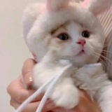 醒了
