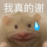 麦芽糊精