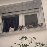 今天也想见到你