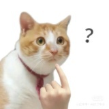 WbTxd2Y00M