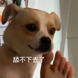 顾未易