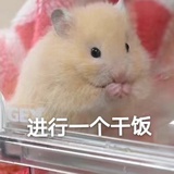 橘橘橘橘橘橘-
