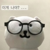 跳岩企鹅🐧
