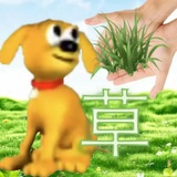 xxhh