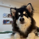 ʚɞ