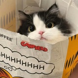 脱素入糊（努力