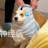 莫来挨我