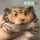 土豆长自土豆泥