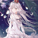 夜曲-