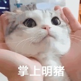 鱼香肉丝