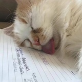 江湖騙子