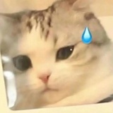 江湖浪人