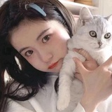 小羊記