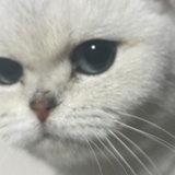 不想开学