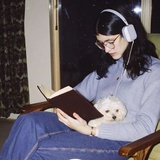 鲸鱼爱打小怪兽