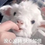 定期换马甲