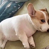 婷