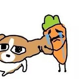 loope