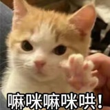 djggevf