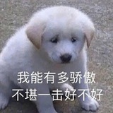 Yuuuu
