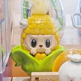 🌽🌽🌽🌽🌽🌽