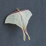 什么菜炒什么菜