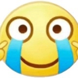 熱帶雨
