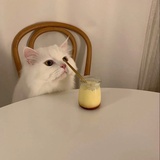 树与茶靡