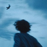 花园分径的小岔