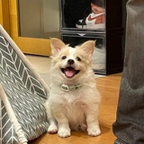 睡觉的被子