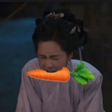 我是你蝶