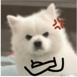 废话过敏👋🏻
